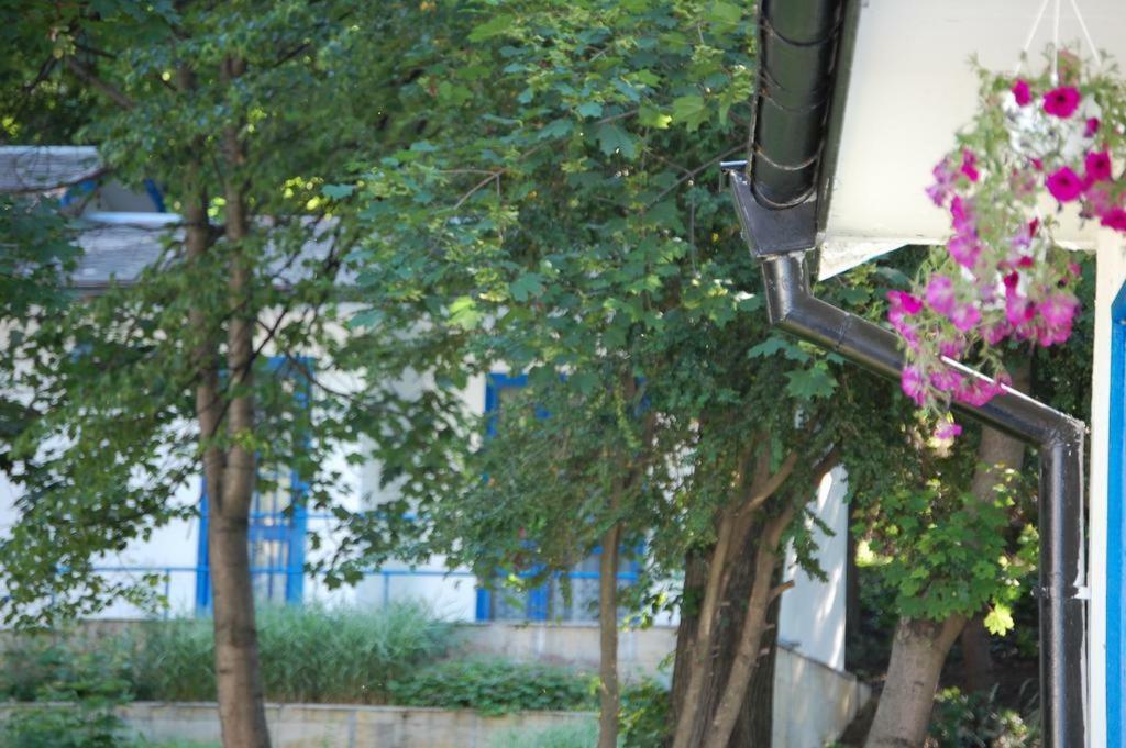 Комплекс Белите Къщи Shtarkelovo Gnezdo Eksteriør billede